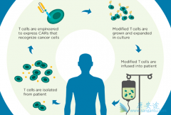 ǿ����˾���ڸ���һ�������Թ���������CAR-T����ҩ������ʹ��