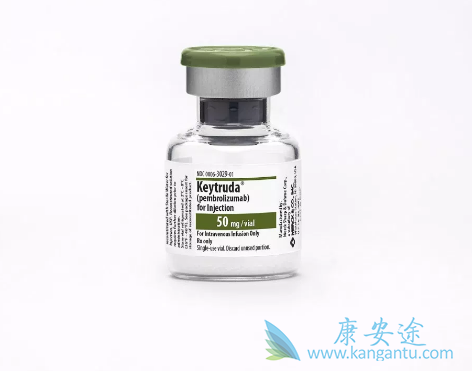 PD-1����ҩ��