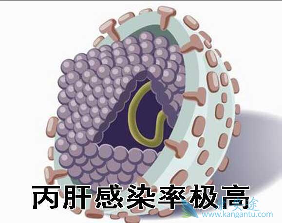 ���͸���