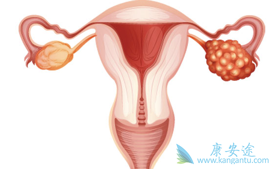 PD-1抑制剂 PD-1抑制剂