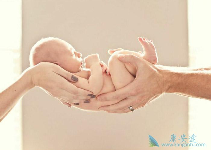 试管婴儿 试管婴儿