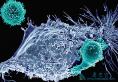 CAR-Tϸ���Ʒ�Kymriah�������԰�Ѫ����������ʾ��83%���ܻ�����