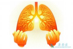 PD-1��PD-L1�����Ʒ������Ʒΰ���Ч�����