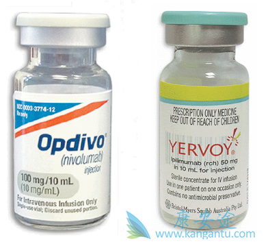 PD-1抗体 PD-1抗体