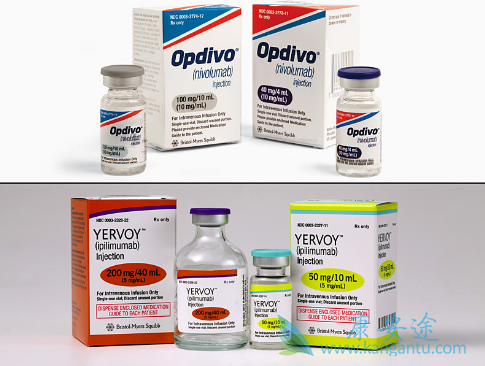 PD-1抗体 PD-1抗体