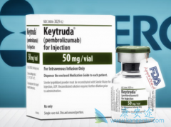 PD-1����������Ʒ���������ҩ���������Ƹΰ���