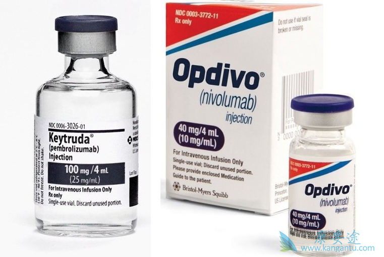 PD-1单抗 PD-1单抗