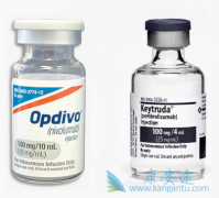 PD-1���Ƽ��������鵥��Ϊʲô����׼���ƺ�ɫ����