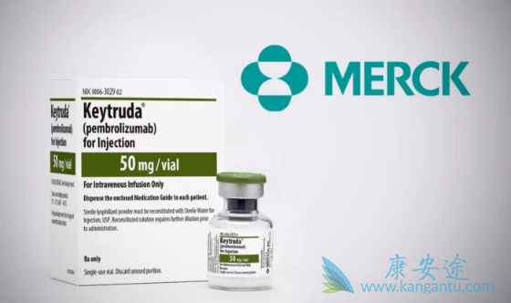 �������鵥��