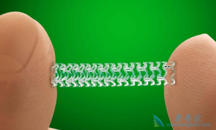 心脏支架 心脏支架