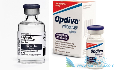 PD-1免疫抑制剂 PD-1免疫抑制剂