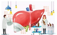 ������6�������Ů���Ҹλ��߲��˻���