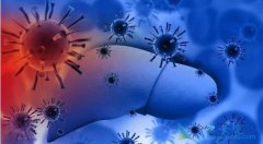 �Ҹα��濹�����Ժ����Էֱ����ʲô��˼