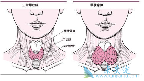 ��״�ٰ�֢״