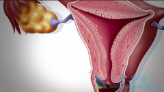 �����ӹ���֢״���ر������Թ����������Բ���