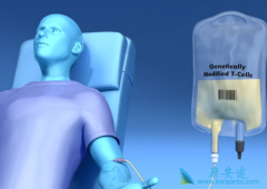 ��������Щҩ��չ��CAR-T�����Ʒ����о����й���CAR-T�Ʒ�������