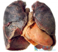 ��������(GEFINAT)�¸����������Ʒΰ�����߻��߶���������