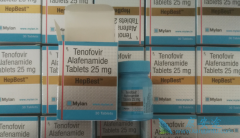 ��������֤����ŵ��Τ����(TAF)���������༰��ʵ���Ұ�ȫ�Բ���