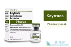 ��ķ����(Keytruda)��ע��Һ�����ú͹�����֪