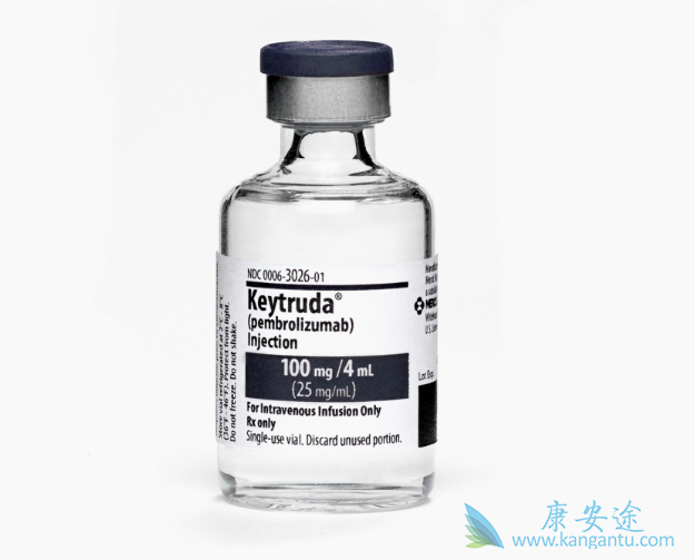 派姆单抗 派姆单抗