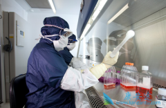 ��Щ���͵İ�֢�����ʺ�ʹ��PD-1���Ƽ����ƣ���Щ������PD-1Ч���ã�