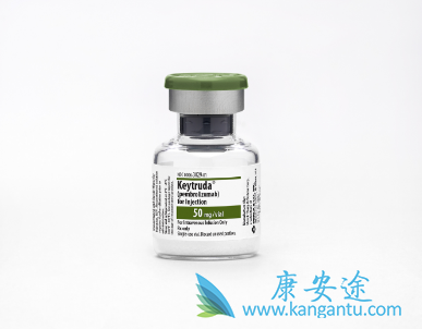 PD-1抑制剂 PD-1抑制剂