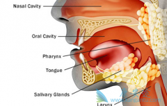 �����ᵥ��(Panitumumab)��CRT�����ܷ�����ͷ�����۰�����Ч��