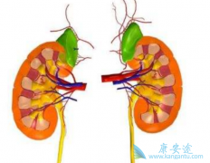 ��������/��̹�¸�������ԭ������������Сԭ������������������