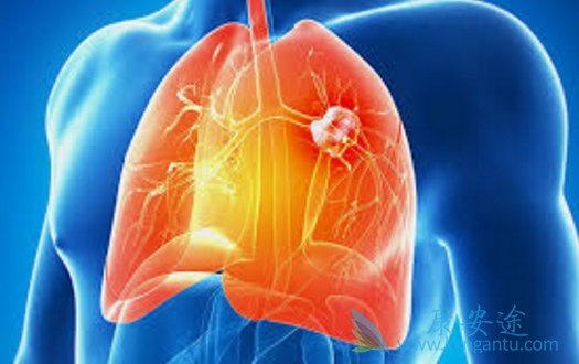 印度易瑞沙 印度易瑞沙