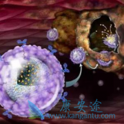 ��������/�������������޷ΰ����ߵ���Ч��һ�λ�ÿ϶�