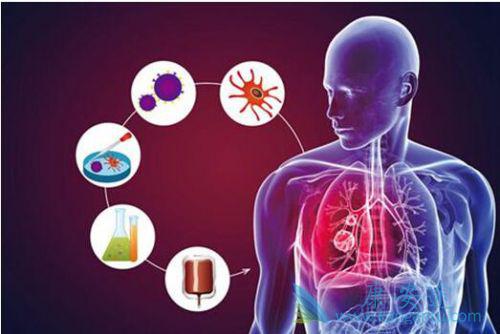 ��Сϸ���ΰ�