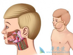 �ϼ�����³����(IBRUTINIB)�Զ��ֲ�ͬ���ܰ������в�������Ч