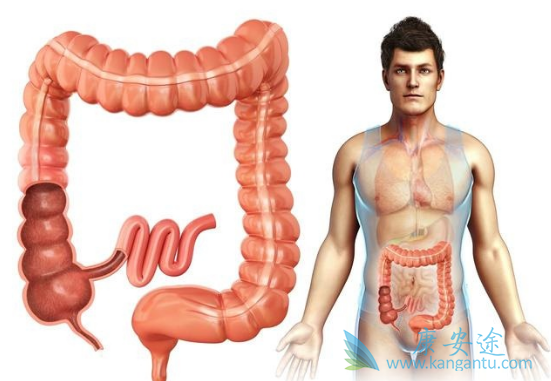 瑞戈非尼 瑞戈非尼
