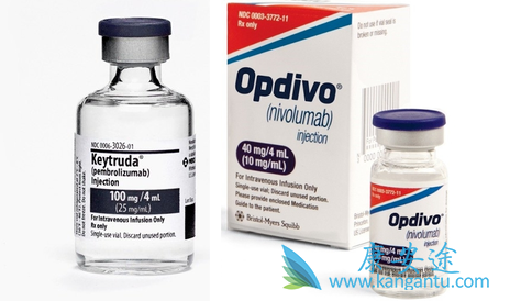 PD-1抑制剂 PD-1抑制剂