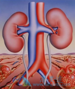 �����������ת�����������߸�ƫ����������(Votrient)����