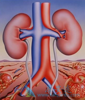 帕唑帕尼 帕唑帕尼