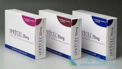 ʩ��������������ϵ��Ѫ������Ҳ�б�������Ȩ��