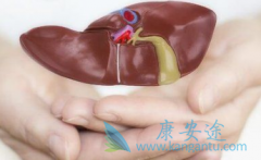 ��ŵ��Τ�����Ӱ�(TAF)��Ҫ��������ͷʹ��ƣ�뷦��