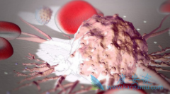 ��³�������ڰ�Ѫ��������Ч���Ѷ���ǰ���������о�