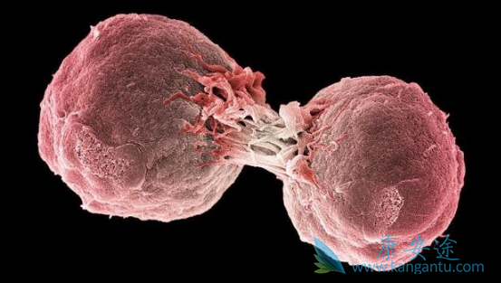 ������ܰ���