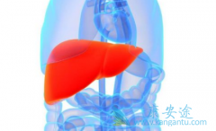 ���ζ೤ʱ�����κã����ǲ�Τ�����ȫ�������͵ı���ҩ����