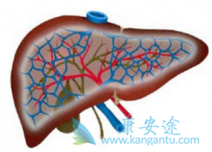 ������(Epclusa)/��ͨɳ�������Ա��͸��׵ĺڿ򾯸�