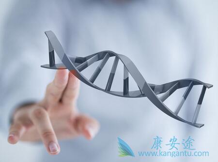 试管婴儿 试管婴儿