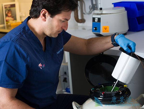 试管婴儿 试管婴儿