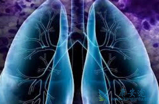 �ط��Էμ�����ά��