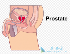 CAR-Tϸ���Ʒ���ǰ���ٰ��������л�����������Ч��