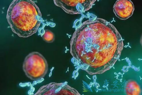 �෢�Թ�������ʳ