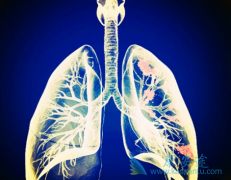 ��ϣ����/̩��ɳ����Ч����T790Mͻ��ķΰ���ת�ƻ��ߵ��ٴ�����