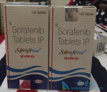 ��Щ�����Ƿ��Ӱ���ҩ����������(SORAFENIB)����Ҫ������