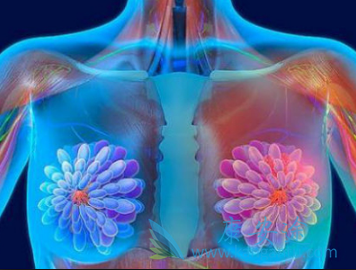 ���ٰ������黯